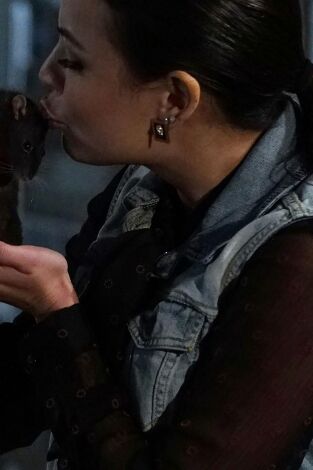 Pequeñas mentirosas. T(T6). Pequeñas mentirosas (T6): Remoendo cielo y tierra