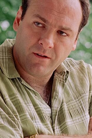 Los Soprano, Season 1. T(T1). Los Soprano,... (T1): Los Soprano