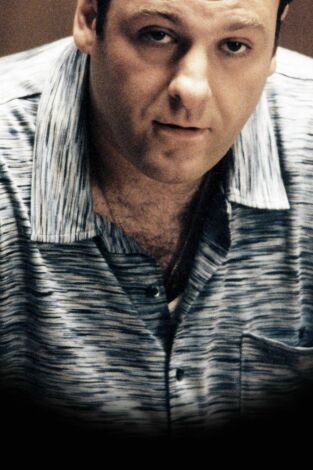 Los Soprano, Season 1. T(T1). Los Soprano,... (T1): Nadie sabe nada