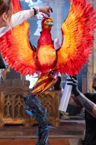 Harry Potter: los magos de la repostería. T(T1). Harry Potter: los... (T1): El despacho de Dumbledore