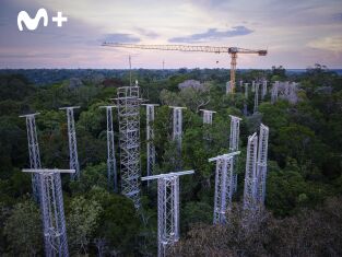 El futuro de la naturaleza. El futuro de la naturaleza: Bosques