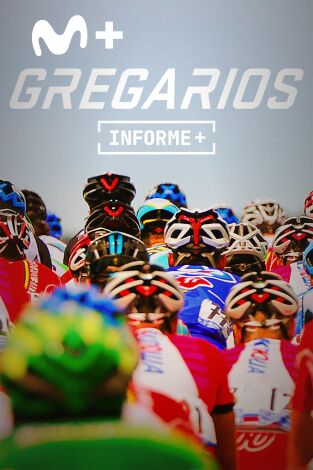 Informe Plus+. Gregarios. Ganar perdiendo