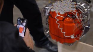 Control de aeropuertos: USA. Control de...: Intoxicados en la frontera