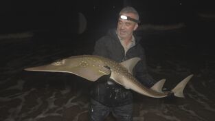 Los últimos gigantes. T(T4). Los últimos gigantes (T4): Ep.1