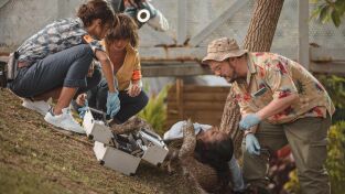 Crimen en el trópico. T(T4). Crimen en el trópico (T4): Ep.6 