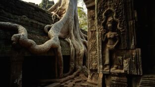 Tesoros perdidos de Angkor: el antiguo Laos al descubierto. Tesoros perdidos de...: El descubrimiento