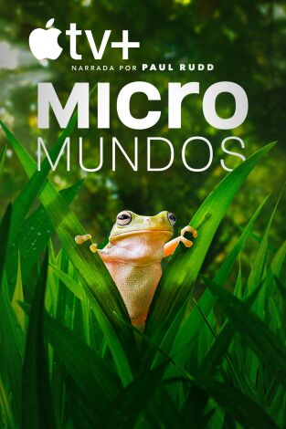 Micromundos. Micromundos 