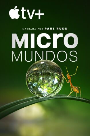 Micromundos. Micromundos 