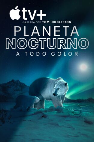 Planeta nocturno: a todo color