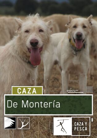 De montería. T(T2). De montería (T2): Ep.15