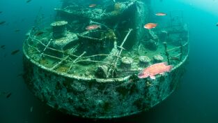 Islas Misteriosas. Islas Misteriosas: La isla desierta