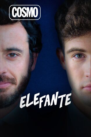 Elefante