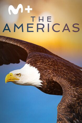 The Americas