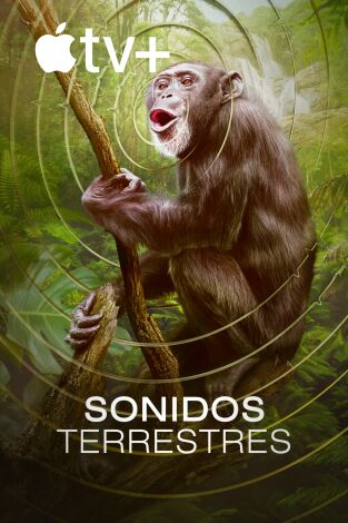 Sonidos terrestres. Sonidos terrestres 
