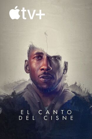 El canto del cisne