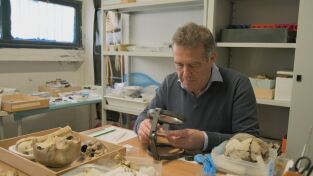 Tesoros Perdidos. Tesoros Perdidos: El gemelo perdido de Pompeya:Herculano