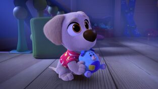 ¡Cachorros a la obra!. T(T2). ¡Cachorros a la... (T2): Construcción para dormir