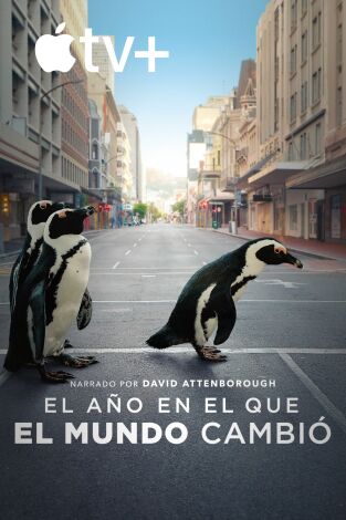 El año en el que el mundo cambió