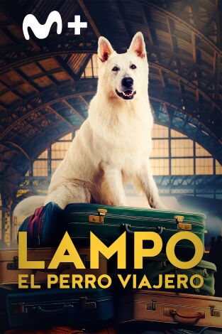 Lampo, el perro viajero