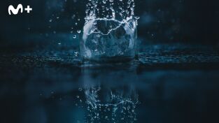 La importancia de la lluvia. La importancia de la...: Viviendo con la lluvia