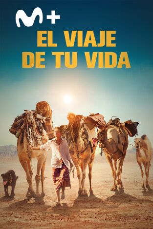 El viaje de tu vida