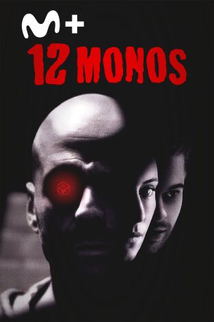 12 monos