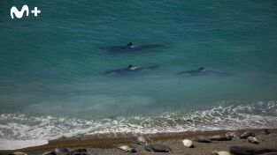 The Americas. The Americas: Patagonia