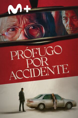 Prófugo por accidente