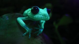 Sudamérica. Sudamérica: Tierra de agua