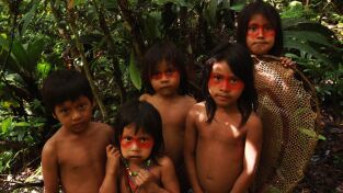 Supervivencia. Supervivencia: Jungla escarpada