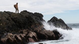 Supervivencia. Supervivencia: Costa asesina