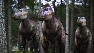 Extras de Caminando entre dinosaurios. Extras de Caminando...: Últimos días