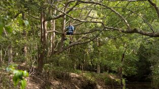 Superviviente por naturaleza. Superviviente por...: Los ríos de la vida