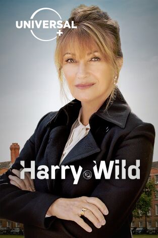Harry Wild. T(T1). Harry Wild (T1)