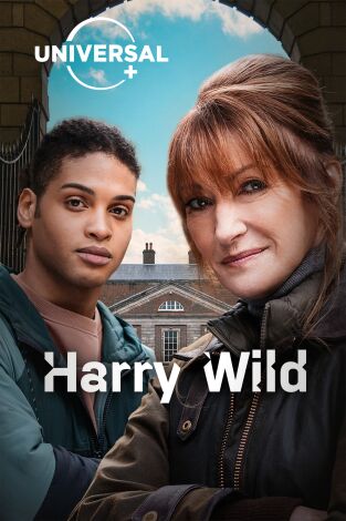 Harry Wild. T(T2). Harry Wild (T2)