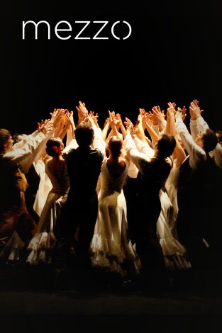 Suite Flamenca - Antonio Gades Company - Teatro Real