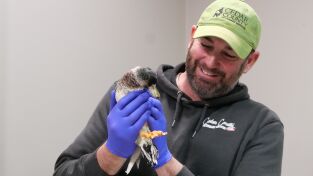 Veterinarios de Nebraska. T(T3). Veterinarios de... (T3): Celebración en Nebraska
