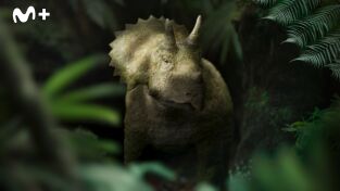 Caminando entre dinosaurios. Caminando entre...: La huérfana Triceratops