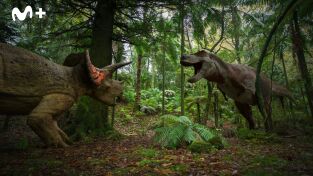 Extras de Caminando entre dinosaurios. Extras de Caminando...: Últimos días