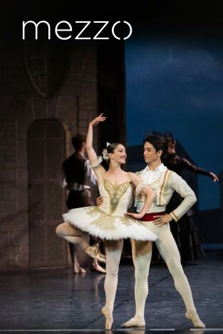José Martinez: Don Quijote - Gran Teatro de Burdeos