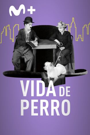 Vida de perro