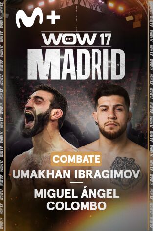 WOW. WOW: La última pelea de Ibragimov