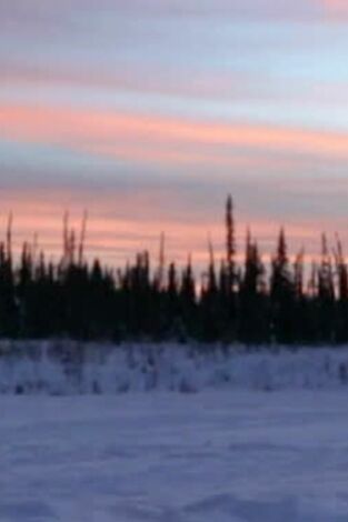 Alaska paranormal. T(T1). Alaska paranormal (T1): Pesadilla del Polo Norte