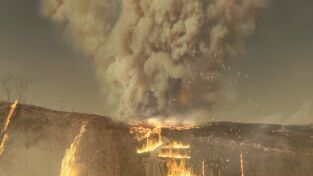 Catástrofes Naturales. Catástrofes Naturales: El fuego del infierno en Portugal