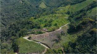 Colombia, Guerra Por El Oro. T(T1). Colombia, Guerra... (T1): Colombia, guerra por el oro