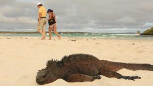 Especies En Peligro. T(T1). Especies En Peligro (T1): Galápagos
