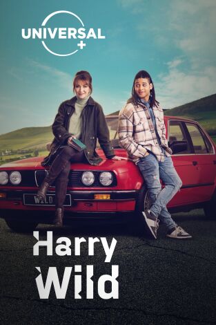 Harry Wild. T(T3). Harry Wild (T3)