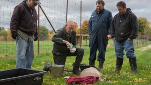 Doctor Pol. T(T1). Doctor Pol (T1): Francamente, querida, me importa un ciervo