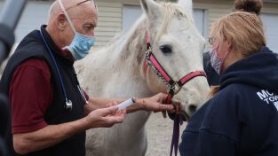 Doctor Pol. Doctor Pol: Echa el freno