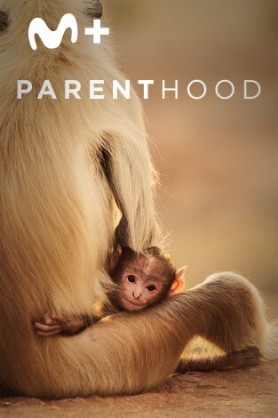 Parenthood